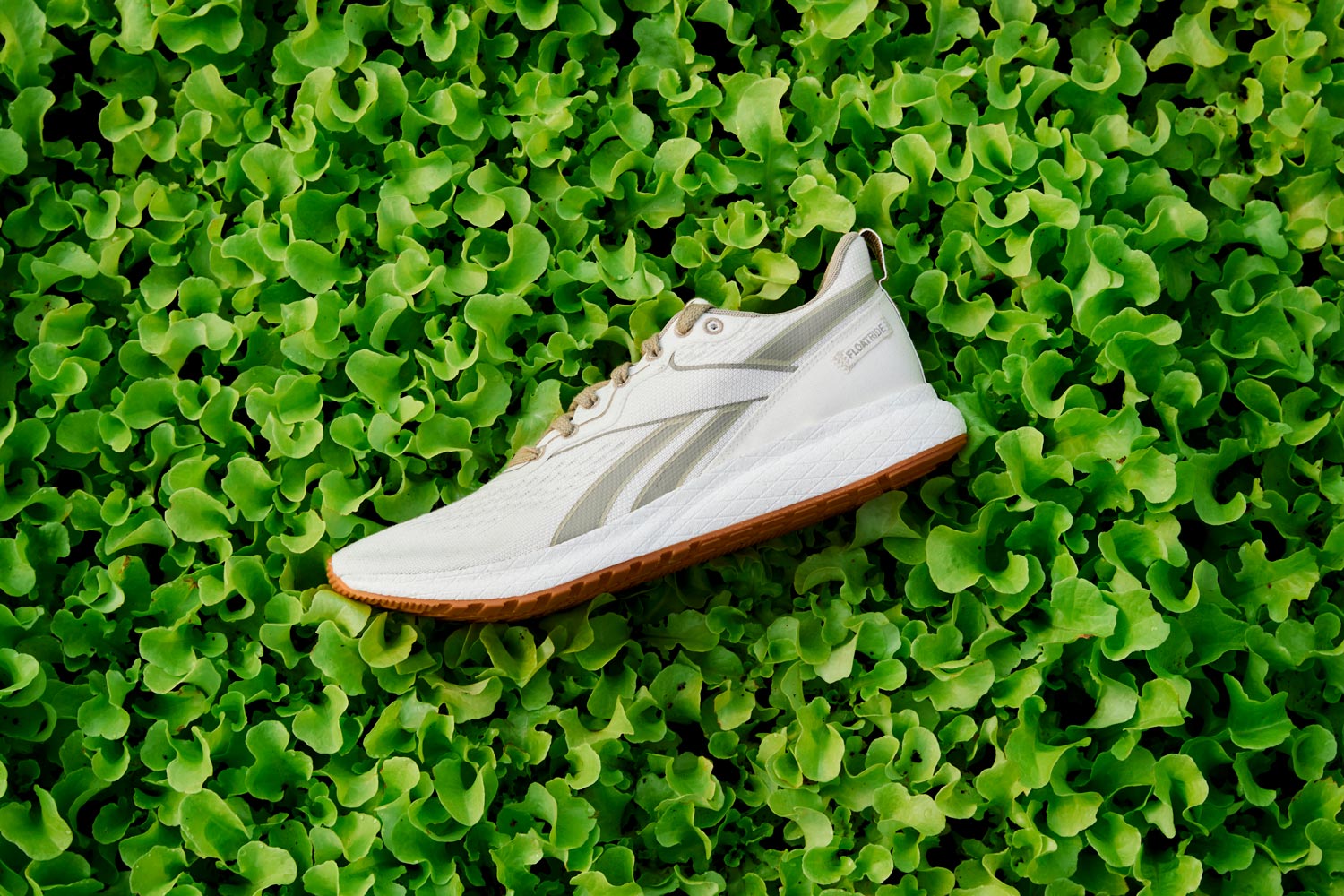 plant based sneakers