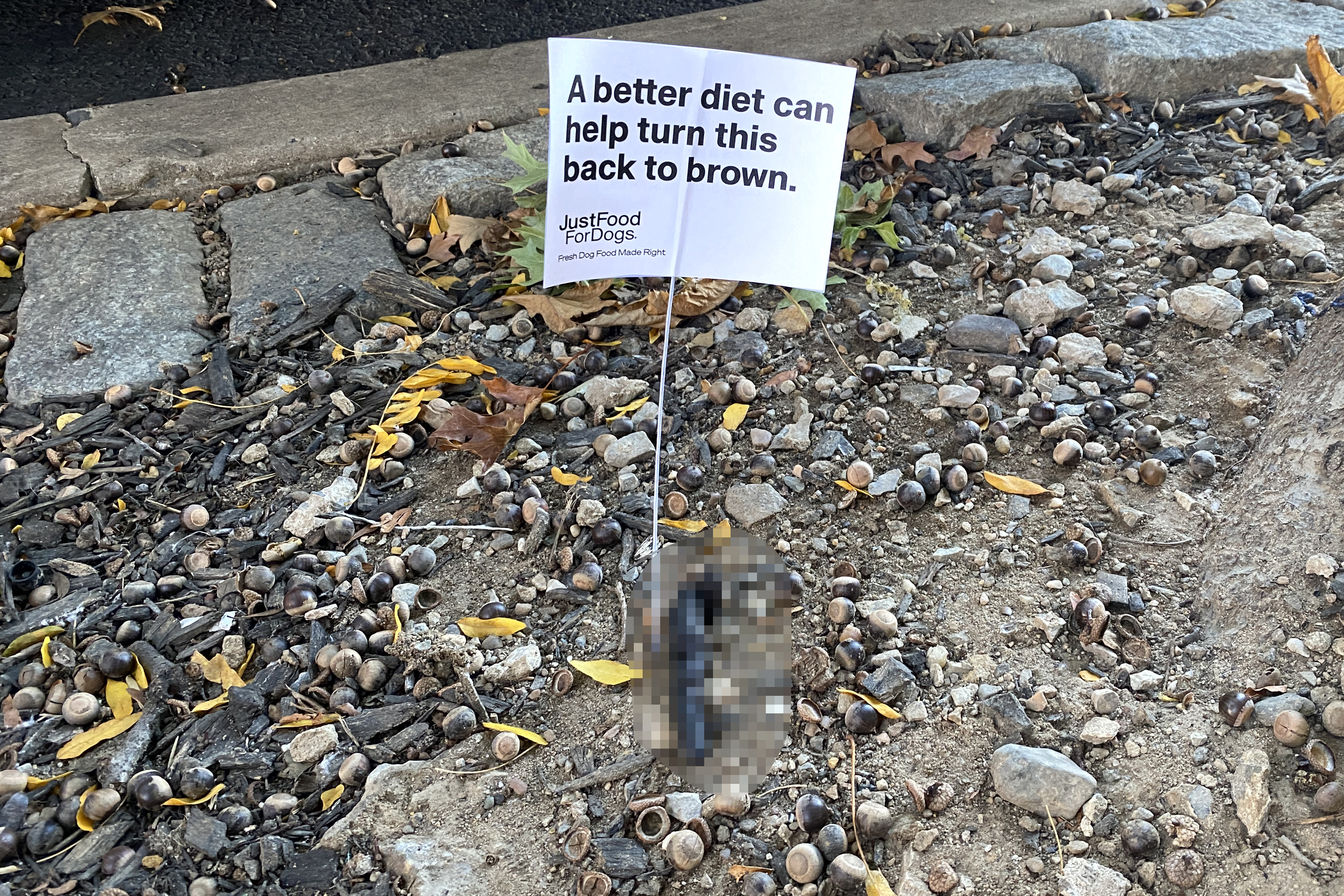 This pet food company is putting mini billboards in piles of dog poop ...