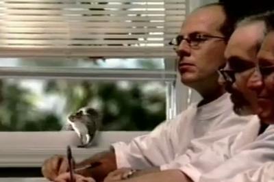 Trident Squirrel Video From Ad Age