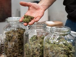 Study finds more Hispanics than non-Hispanics view cannabis as beneficial