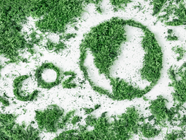 Reckitt exec will lead global effort to measure media's carbon impact