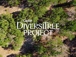 Claritin battles botanical sexism in pollen reduction campaign