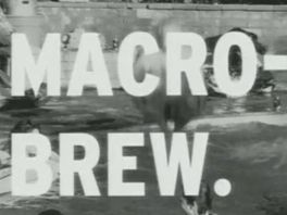 Rewind: When Miller Genuine Draft, Not Bud, Was 'Macro'