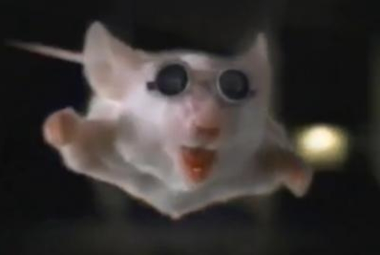 Budweiser Frogs' Final Act Ad Age