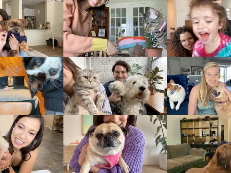 Chewy unveils new campaign as pet interest surges