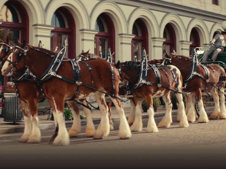 Sam Adams spoofs Bud’s Clydesdales and Walgreens hires Starbucks’ Brewer: Wednesday Wake-Up Call