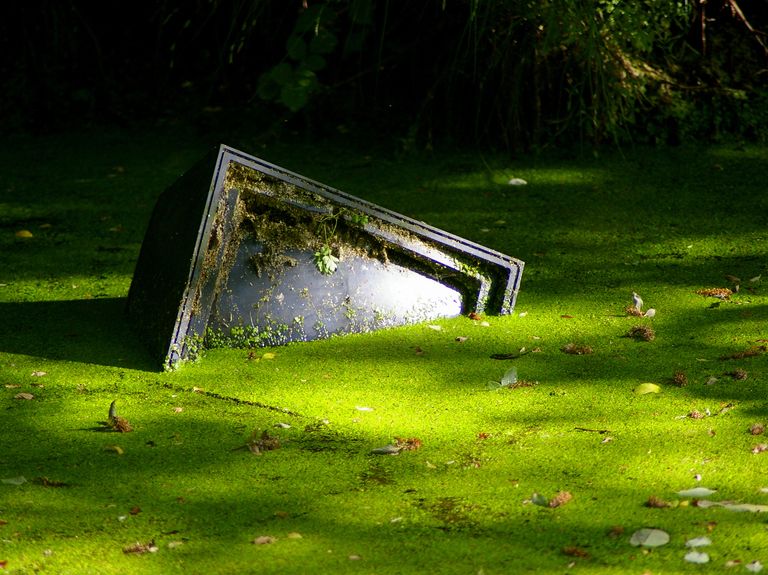 TV networks call for suspension of Nielsen ratings accreditation amid continued problems