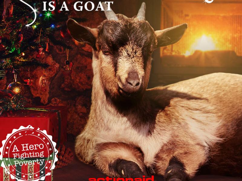 Goats Singing Christmas Carols 