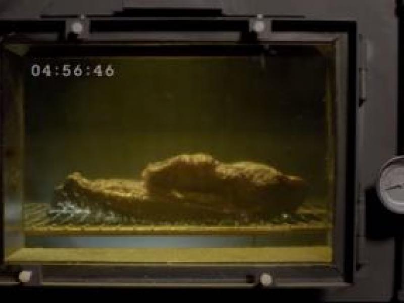 The Longest Ad Ever; Arby's 13 Hour Commercial Shows How Brisket Is