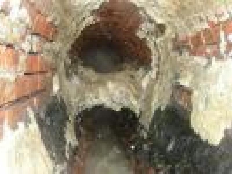 charmin flushable wipes costco