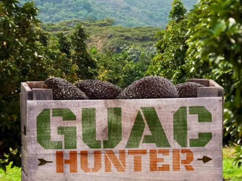 Chipotle's Latest Comeback Plan A Guacamole Game Ad Age