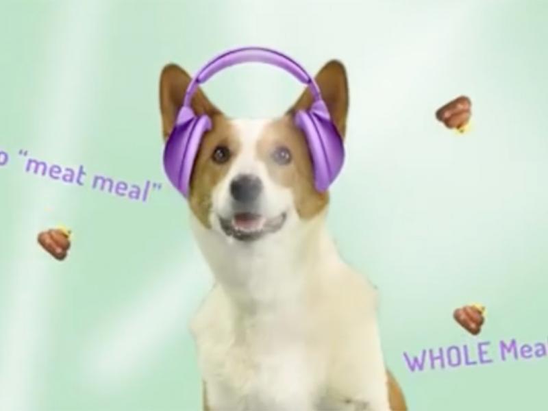 Halo Pet Food DJ Lil' Doggy Drops Fresh Beats (and Poops) Ad Age