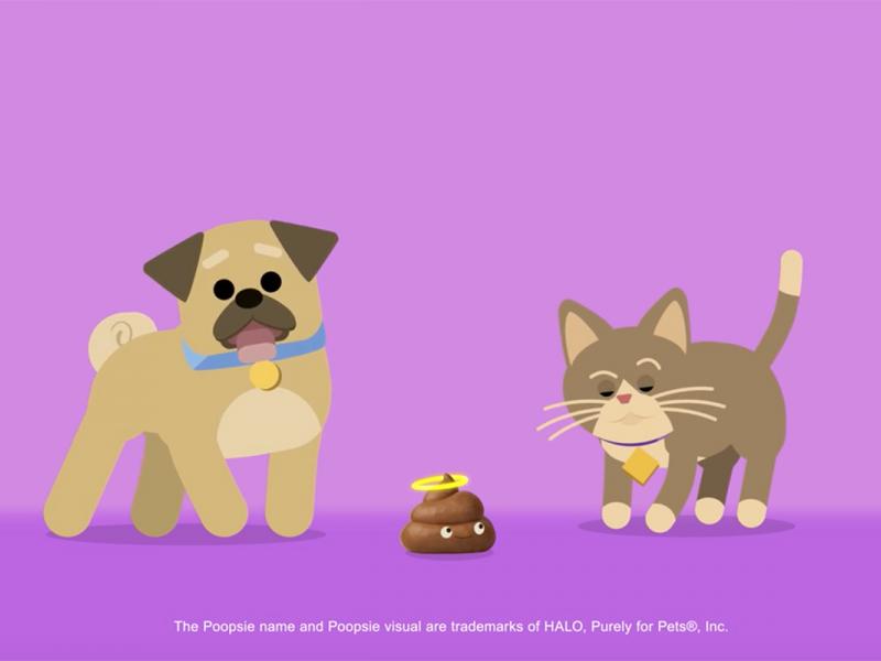 Halo Pet Food Educational Video Ad Age