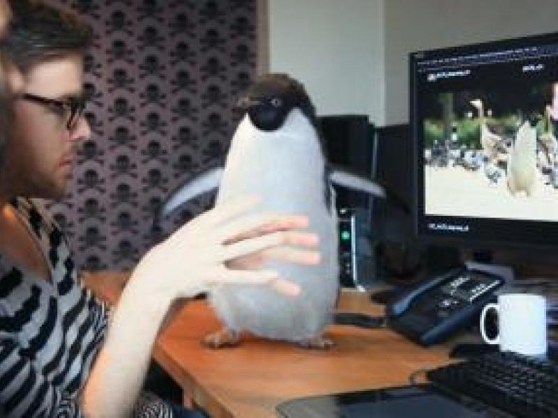 Just How Did They Make That John Lewis Penguin so Realistic? Ad Age