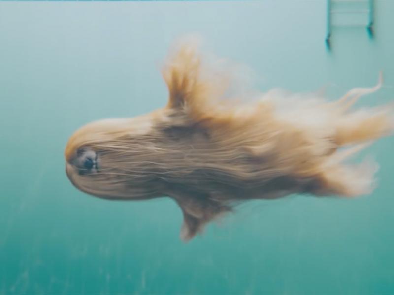 Klarna Smooth Swim Ad Age