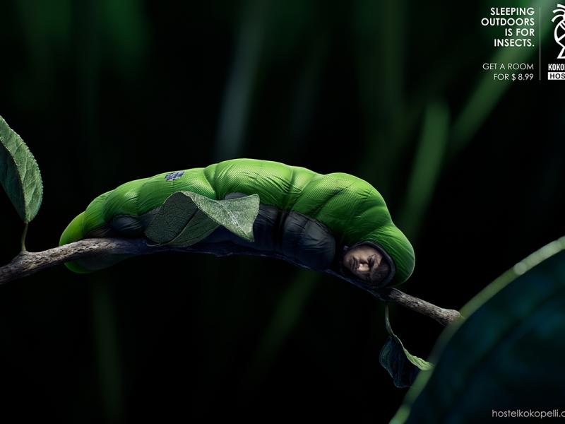 Kokopelli Backpackers Hostel Sleeping Bugs Ad Age