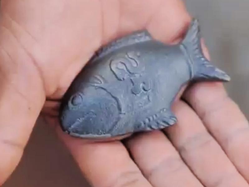 The Lucky Iron Fish Project Wins Product Design Grand Prix at Cannes Ad Age