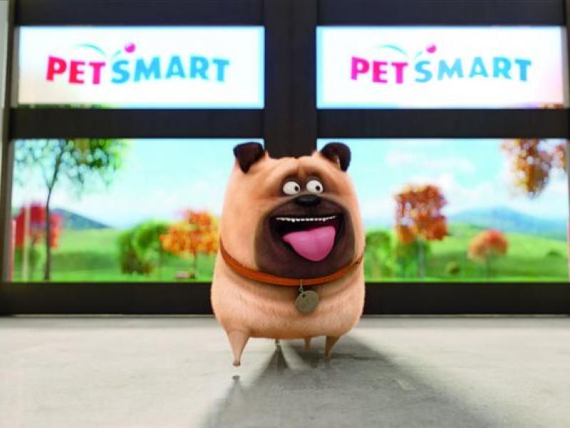pets at petsmart