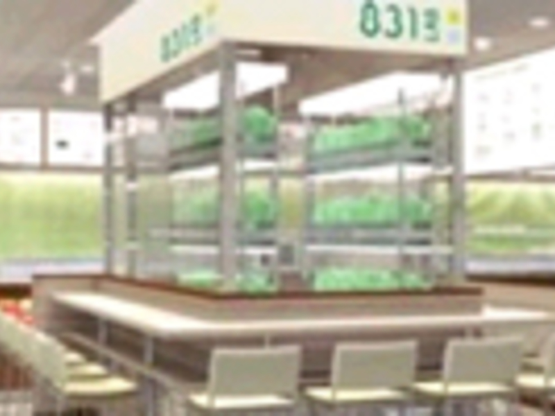 Subway Lettuce Factory Ad Age