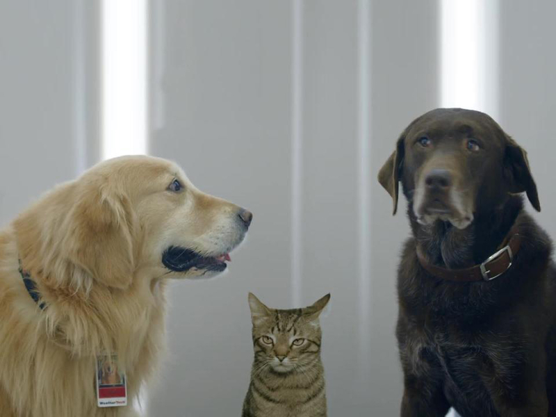 WeatherTech and Kia are coming back to the Super Bowl