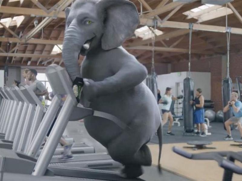 Wonderful Pistachios' Super Bowl QuickHitter Elephants and Treadmills