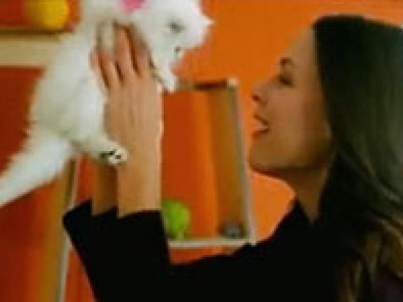 fancy feast commercial