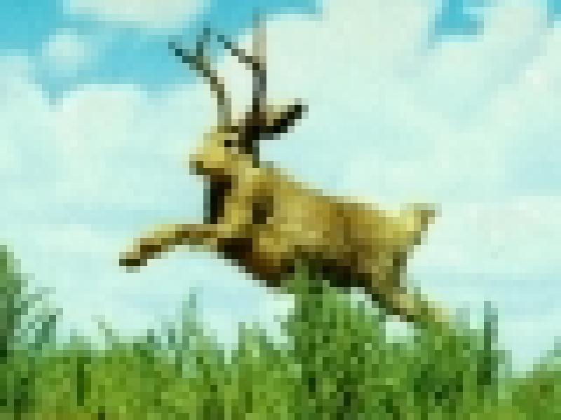 The Elusive Jackalope of US Womanhood: Jackerman Mom Unmasked