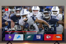 YouTube reveals NFL Sunday Ticket prices